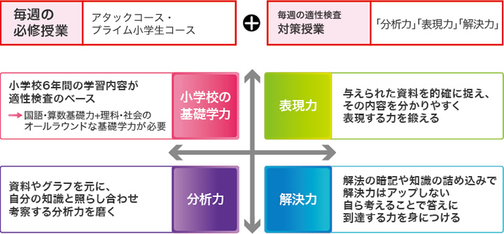 指導内容